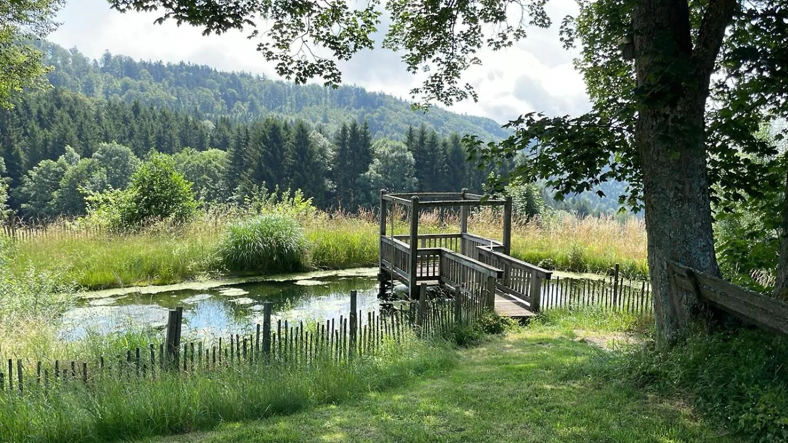 Berghuette Am Grandsberg Villa Schwarzach Holiday home