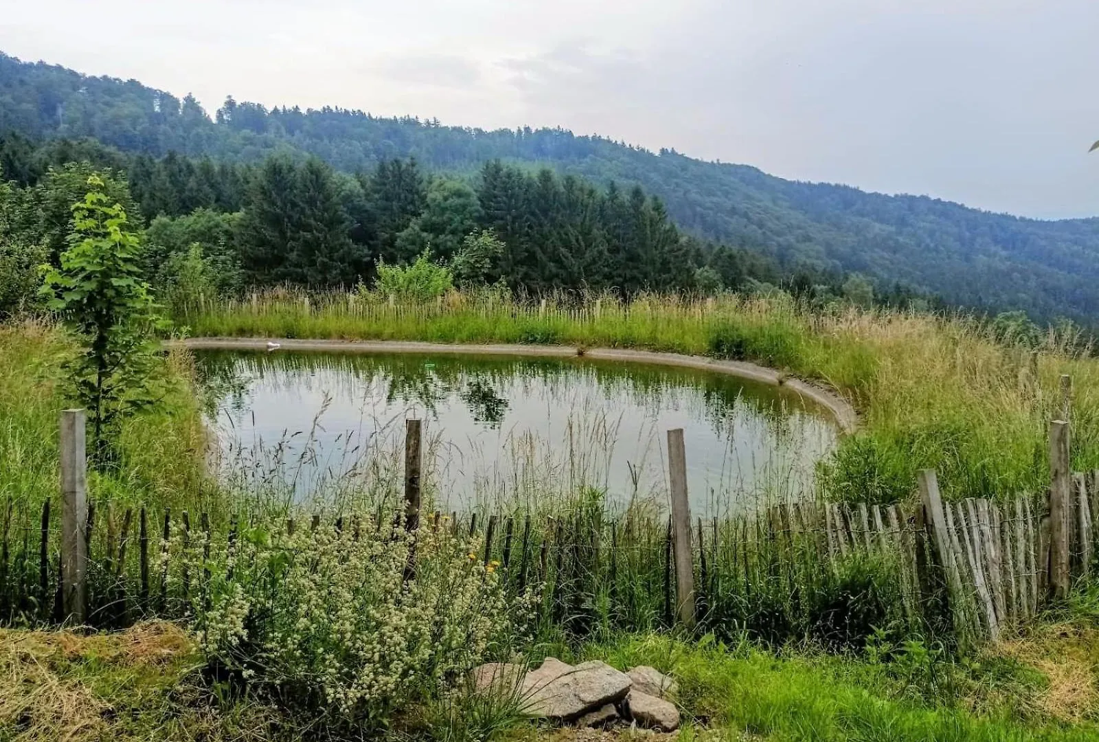 Berghuette Am Grandsberg Villa Schwarzach