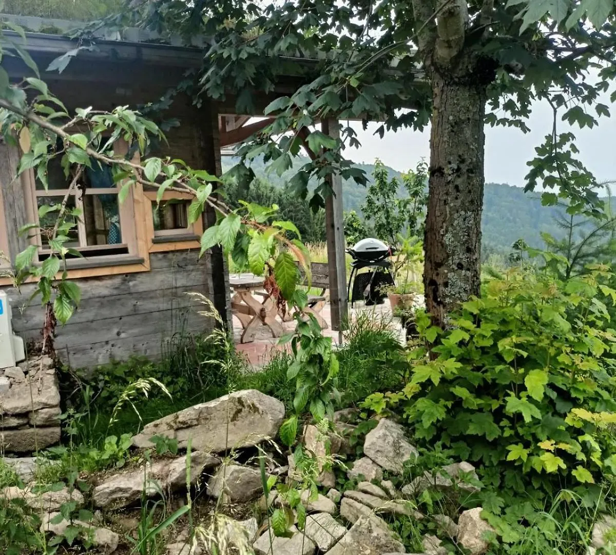 Holiday home Berghuette Am Grandsberg Villa Schwarzach